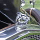 Illustration for article titled The Stan Hywet Fathers Day Car Show 2018